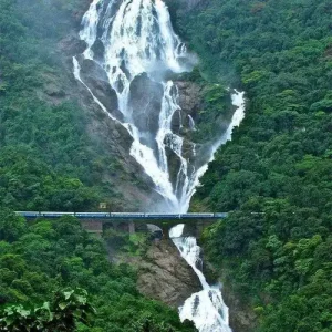 Read more about the article Dudhsagar Falls