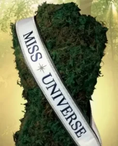 Read more about the article Unveiling the Glamorous World of Miss Universe: A Closer Look at the Coveted Perks and Benefits