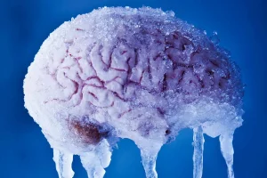 Read more about the article The Chilly Mystery of Brain Freeze Unveiled