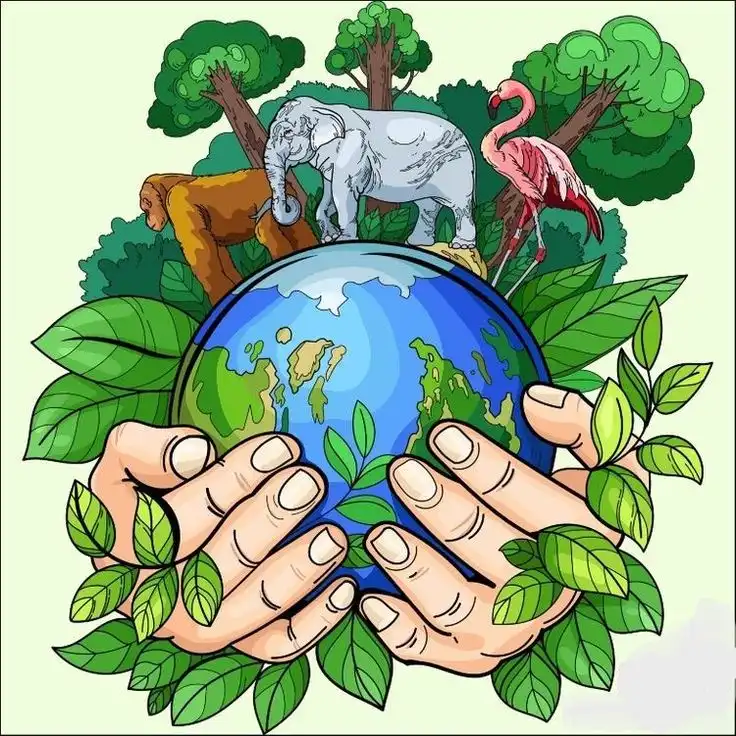 You are currently viewing Let’s Celebrate World Environment Day!