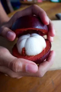 Read more about the article The Marvellous Mangosteen: A Tropical Treasure
