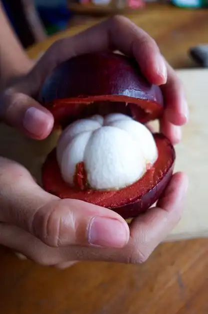 You are currently viewing The Marvellous Mangosteen: A Tropical Treasure