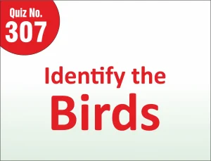 Read more about the article FIND THE MISTAKE – Identify the Birds