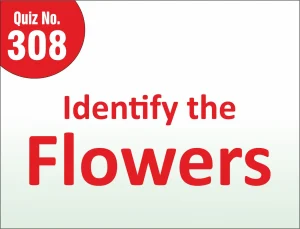 Read more about the article FIND THE MISTAKE – Identify the Flowers