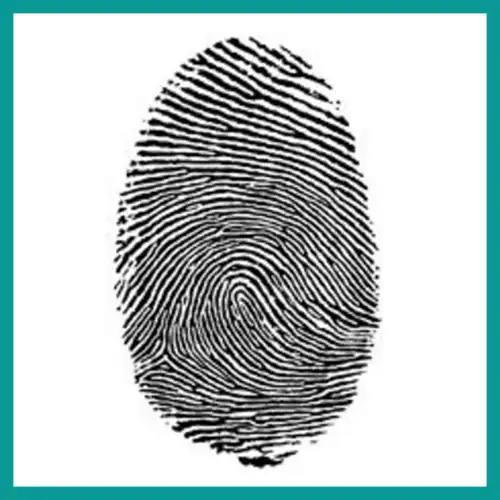 You are currently viewing What Are Fingerprints?