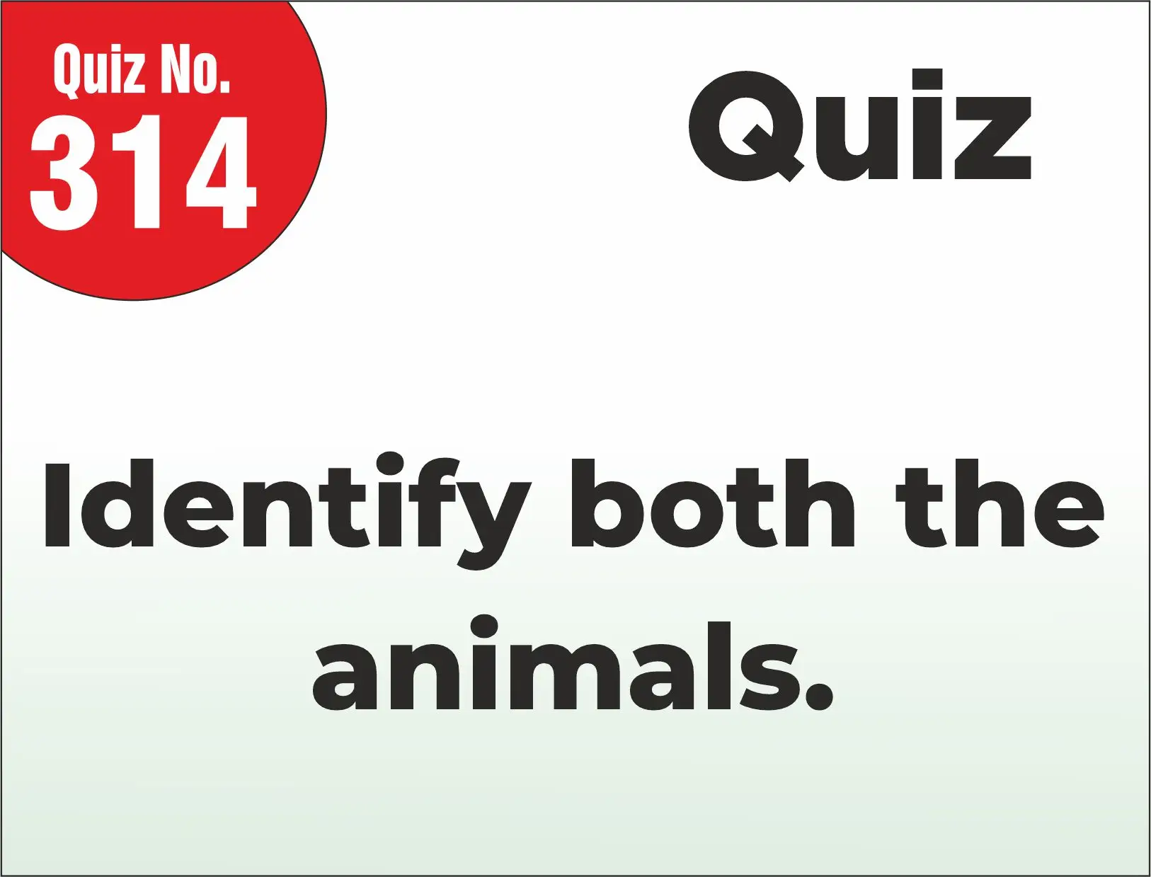 You are currently viewing FIND THE MISTAKE – Identify both the animals.