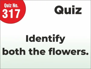 Read more about the article FIND THE MISTAKE – Identify both the flowers.