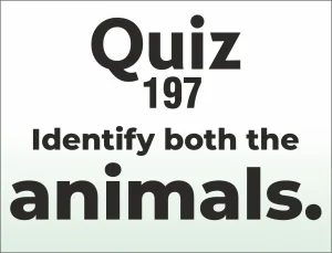 Read more about the article QUIZ