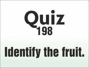 Read more about the article QUIZ