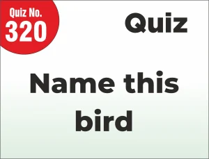 Read more about the article FIND THE MISTAKE – Identify this bird.