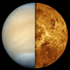 Read more about the article Exploring Venus