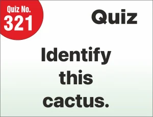 Read more about the article FIND THE MISTAKE – Identify this Cactus